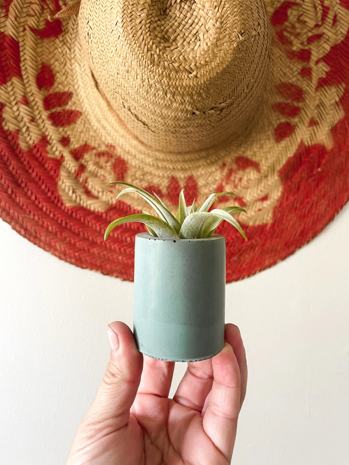 Solid Cement Air Plant Holder