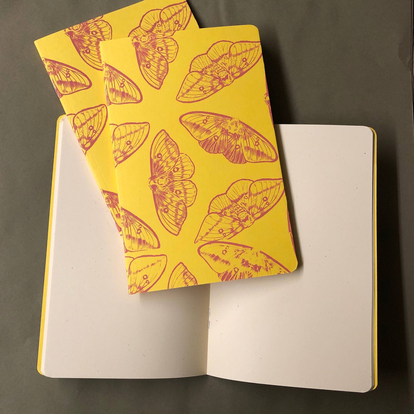 Imperial Moth Sketchbook