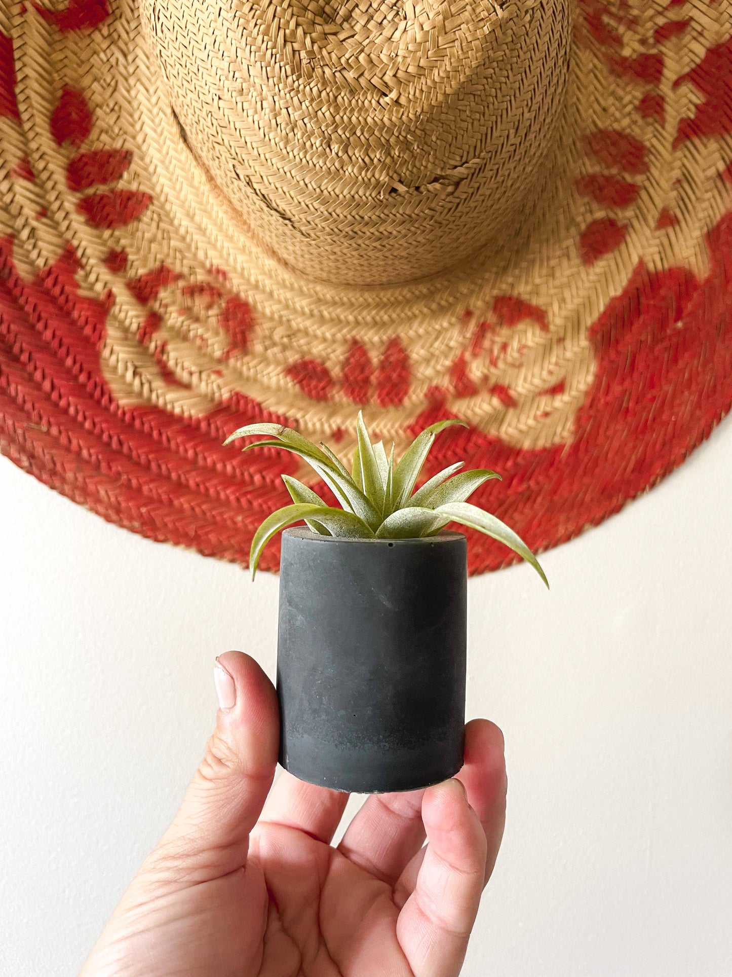 Solid Cement Air Plant Holder